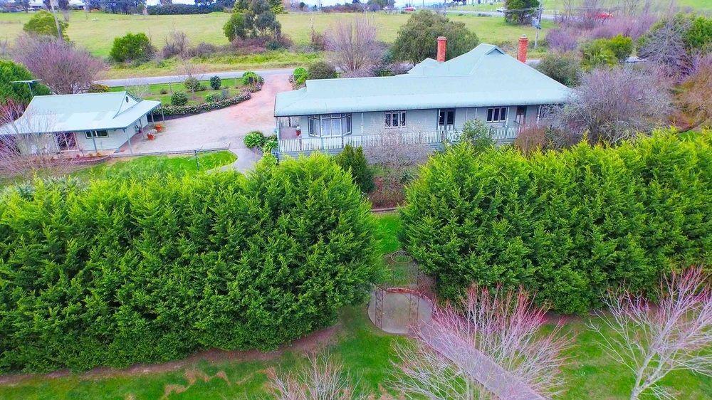 Bed and Breakfast Wild Cattle Creek Estate Wandin Yallock Екстер'єр фото