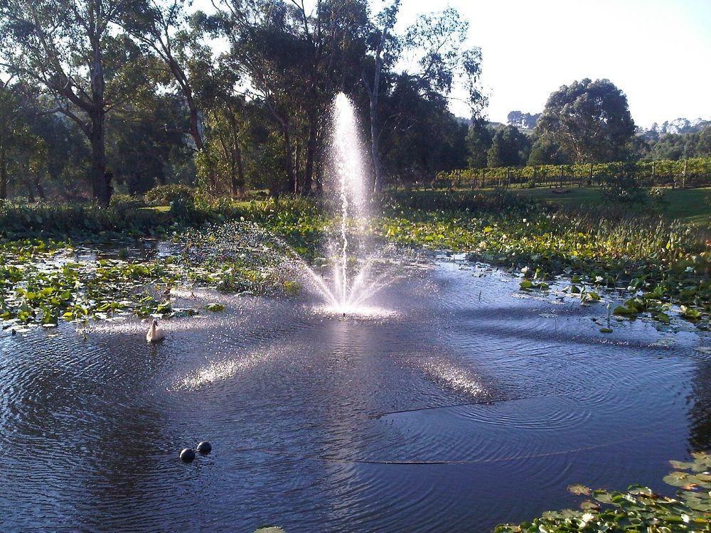 Bed and Breakfast Wild Cattle Creek Estate Wandin Yallock Екстер'єр фото