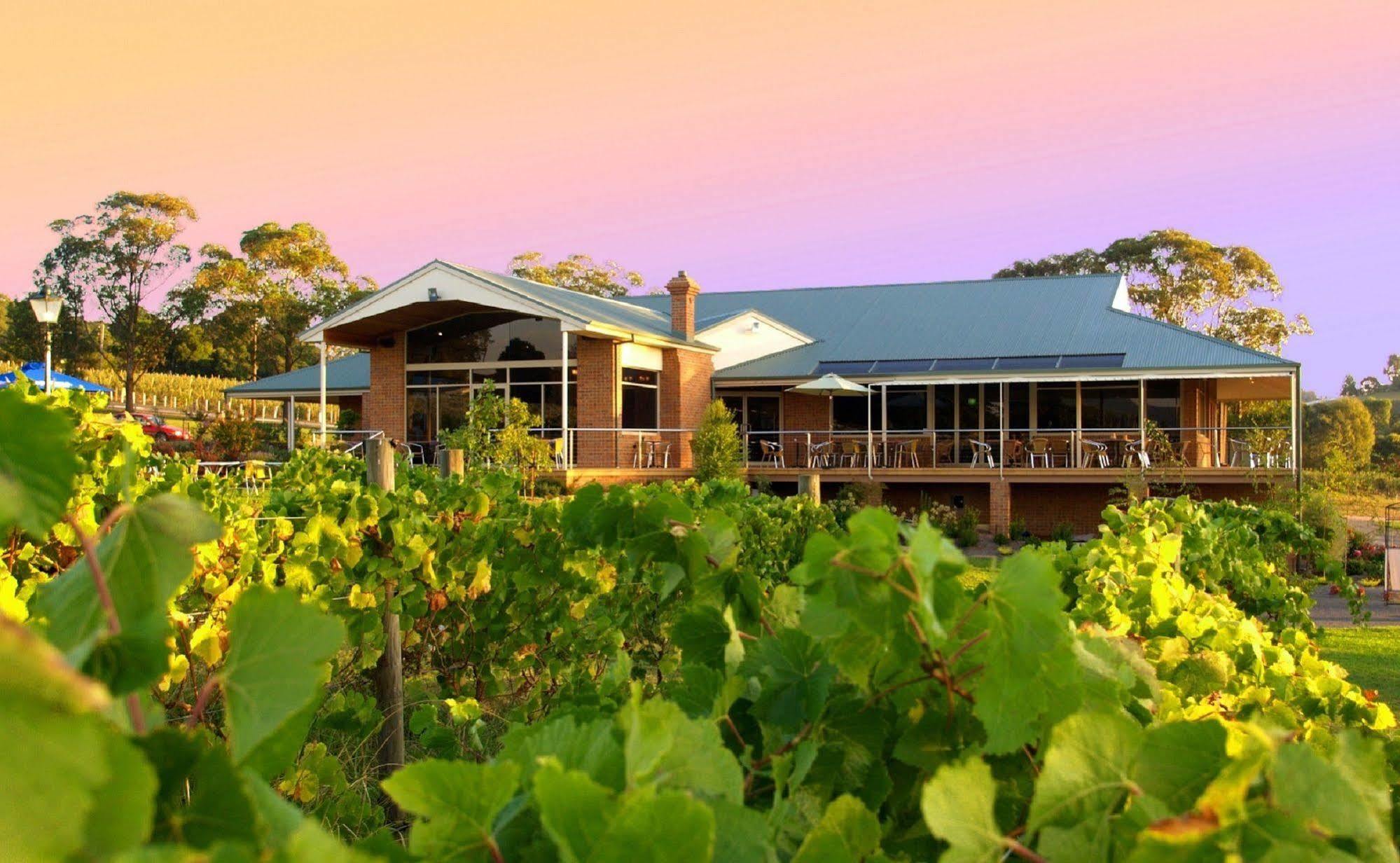 Bed and Breakfast Wild Cattle Creek Estate Wandin Yallock Екстер'єр фото